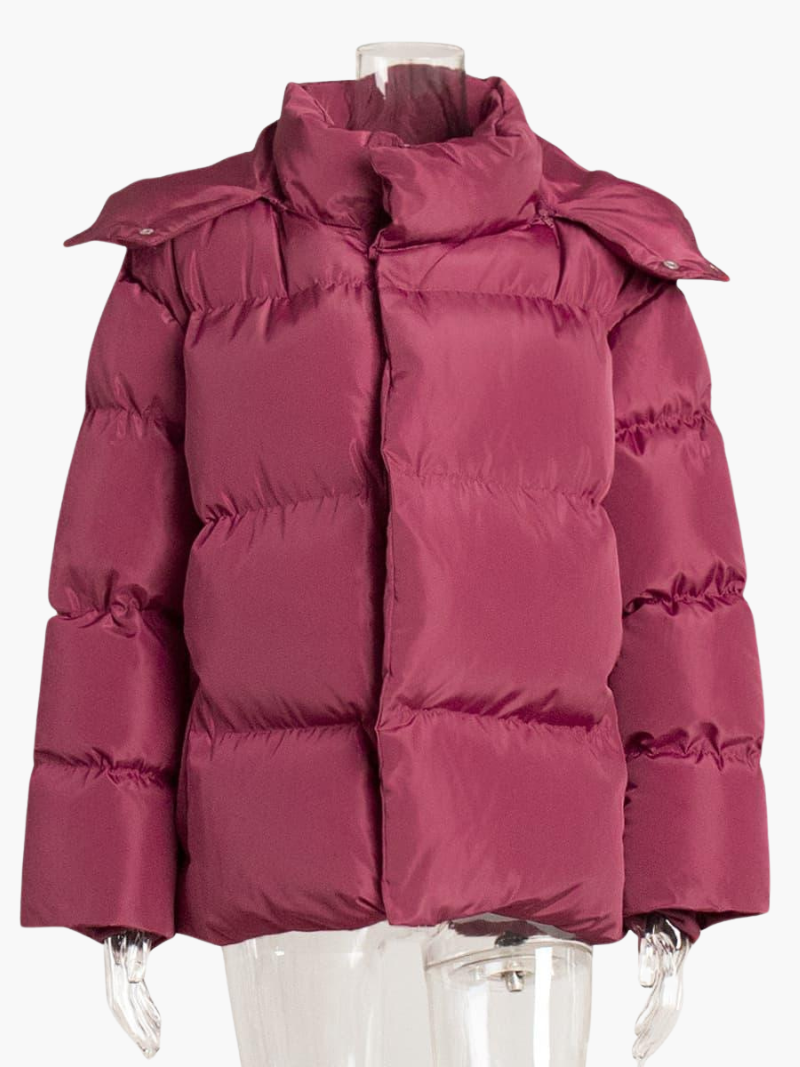 Women’s Hooded Puffer Jacket with Front Zip and Quilted Design
