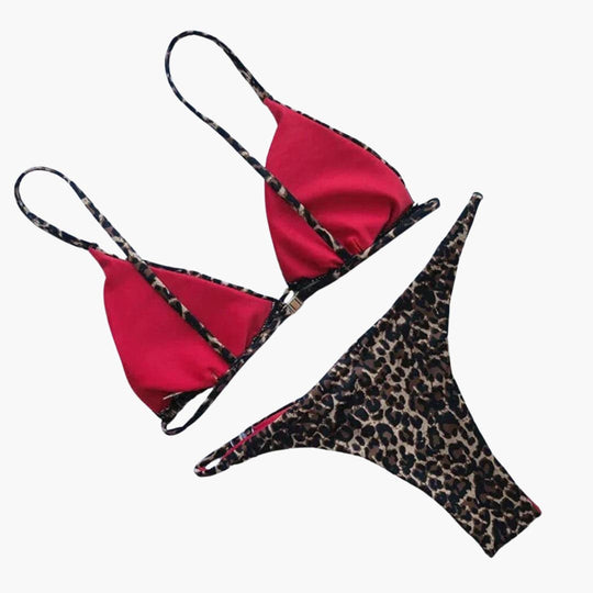 Women’s Bikini Set with High - Waisted Bottoms and Leopard Print