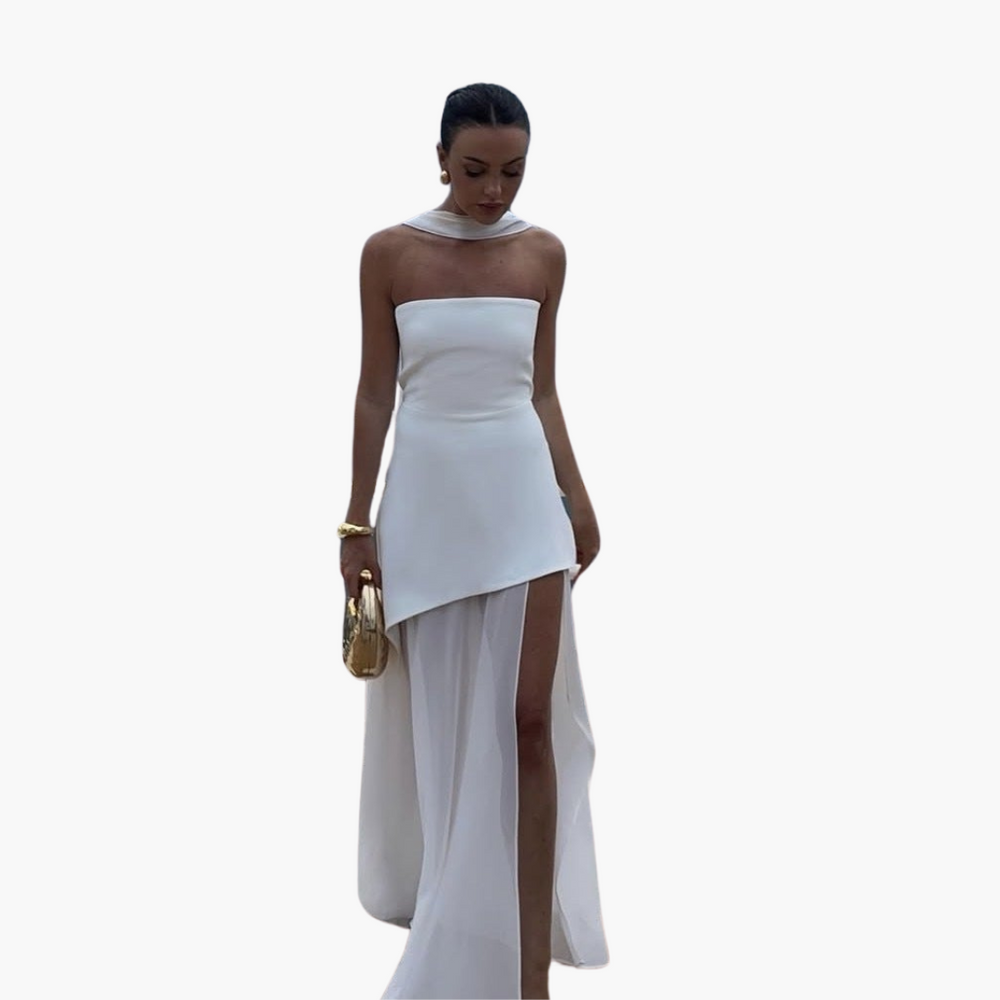 Women’s Evening Dress with Sheer Skirt and Overlay