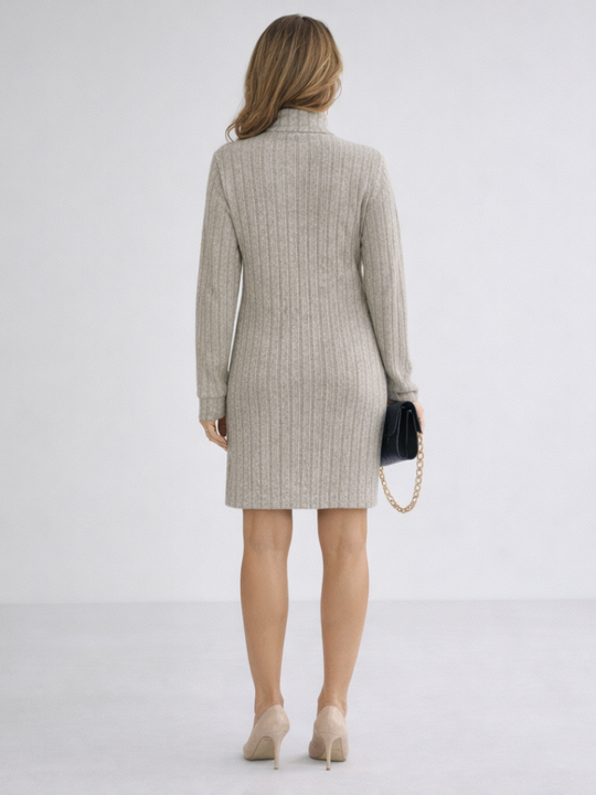 Margot | Ribbed Knit Turtleneck Dress